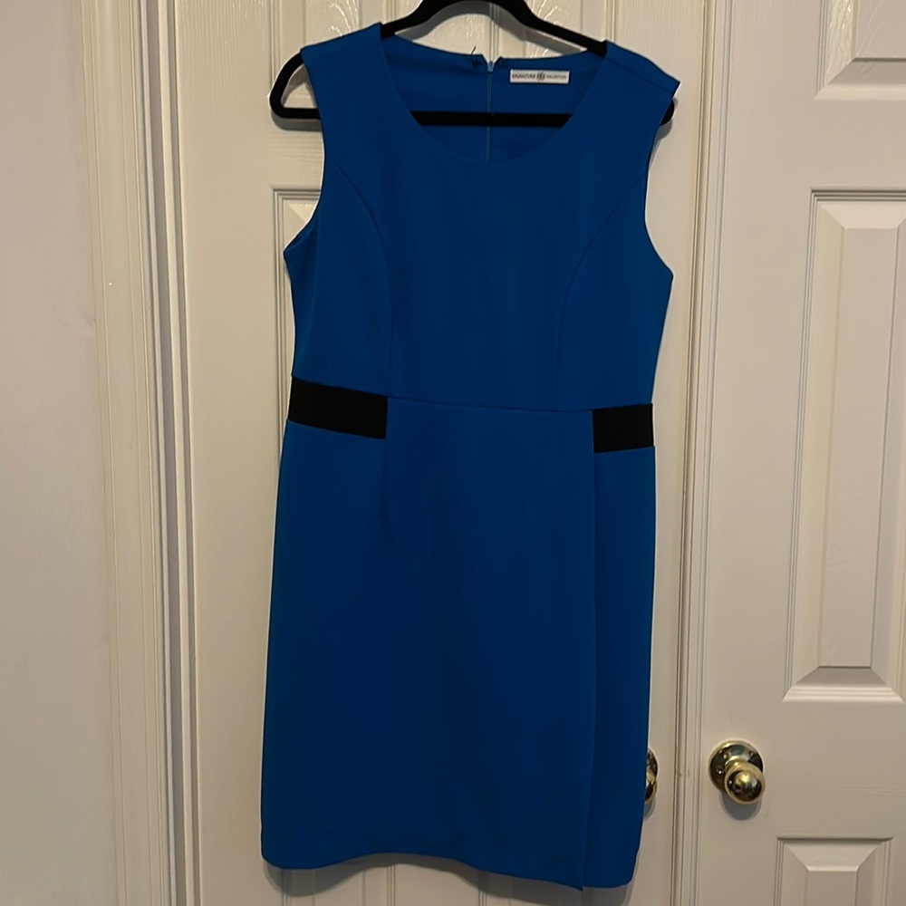 Signature Collection dress size XL(18)